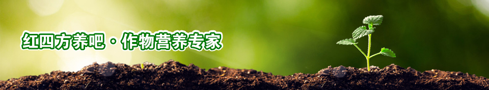 茄子视频破解版