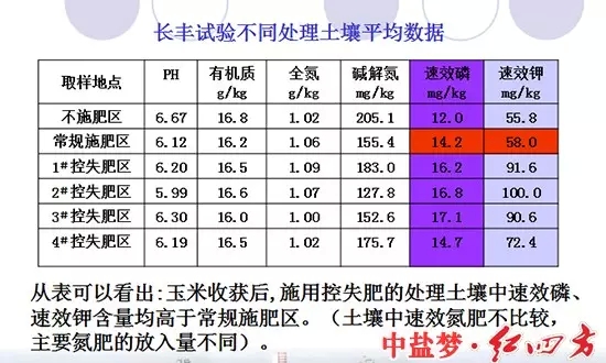 长丰实验土壤处理对比图，控失肥同样取得好成绩。