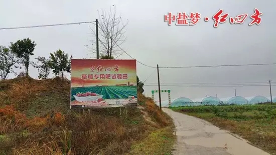 下雪天,茄子视频破解版茄子视频破解版业务员在冬雪天气中奔走 下雪天,茄子视频破解版茄子视频破解版业务员在冬雪天气中奔走