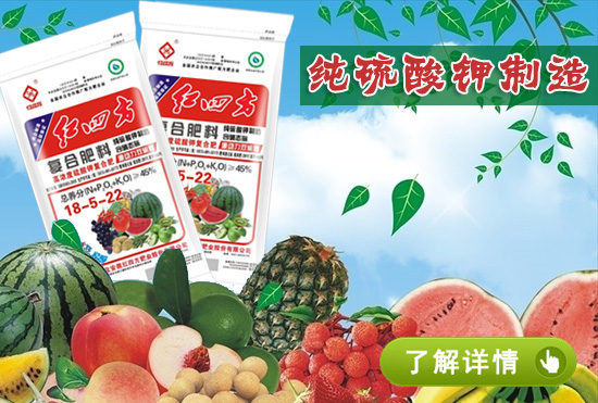 山东茄子视频网站在线观看生产厂家